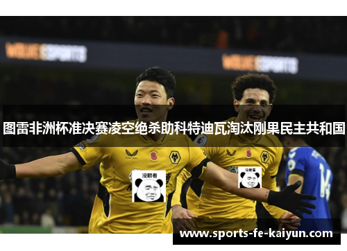 图雷非洲杯准决赛凌空绝杀助科特迪瓦淘汰刚果民主共和国